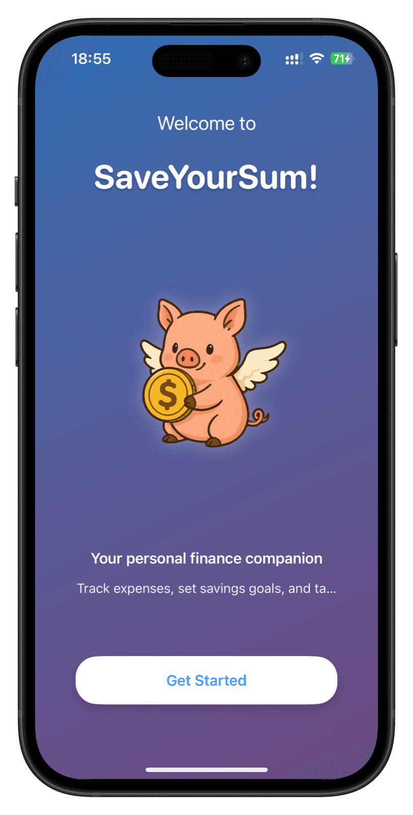 SaveYourSum: Welcome-Screen der App